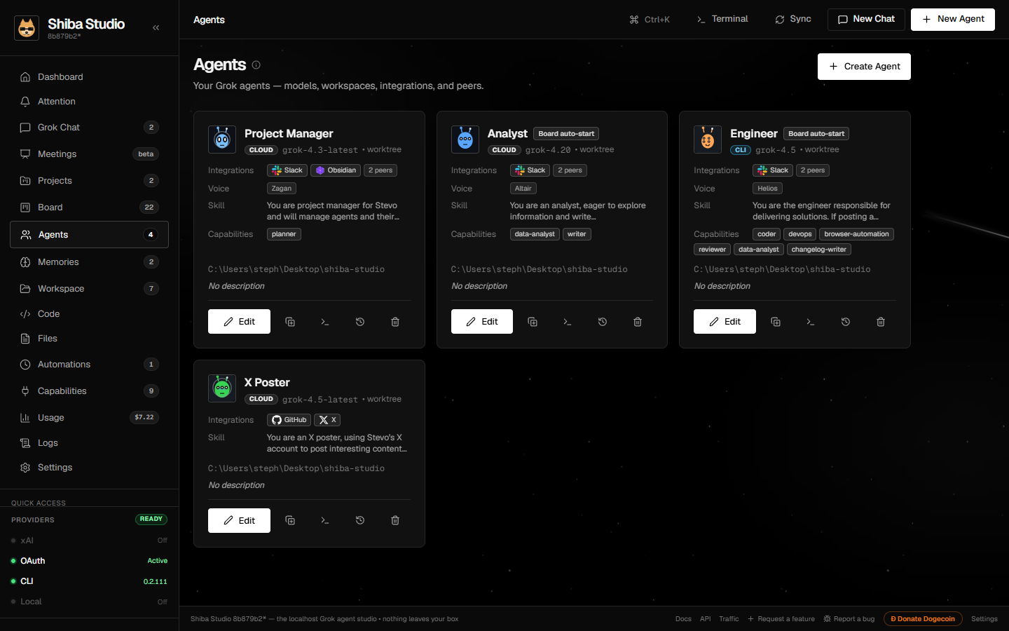 Agents: local and cloud Grok execution owners with models, workspaces, scopes, and skills